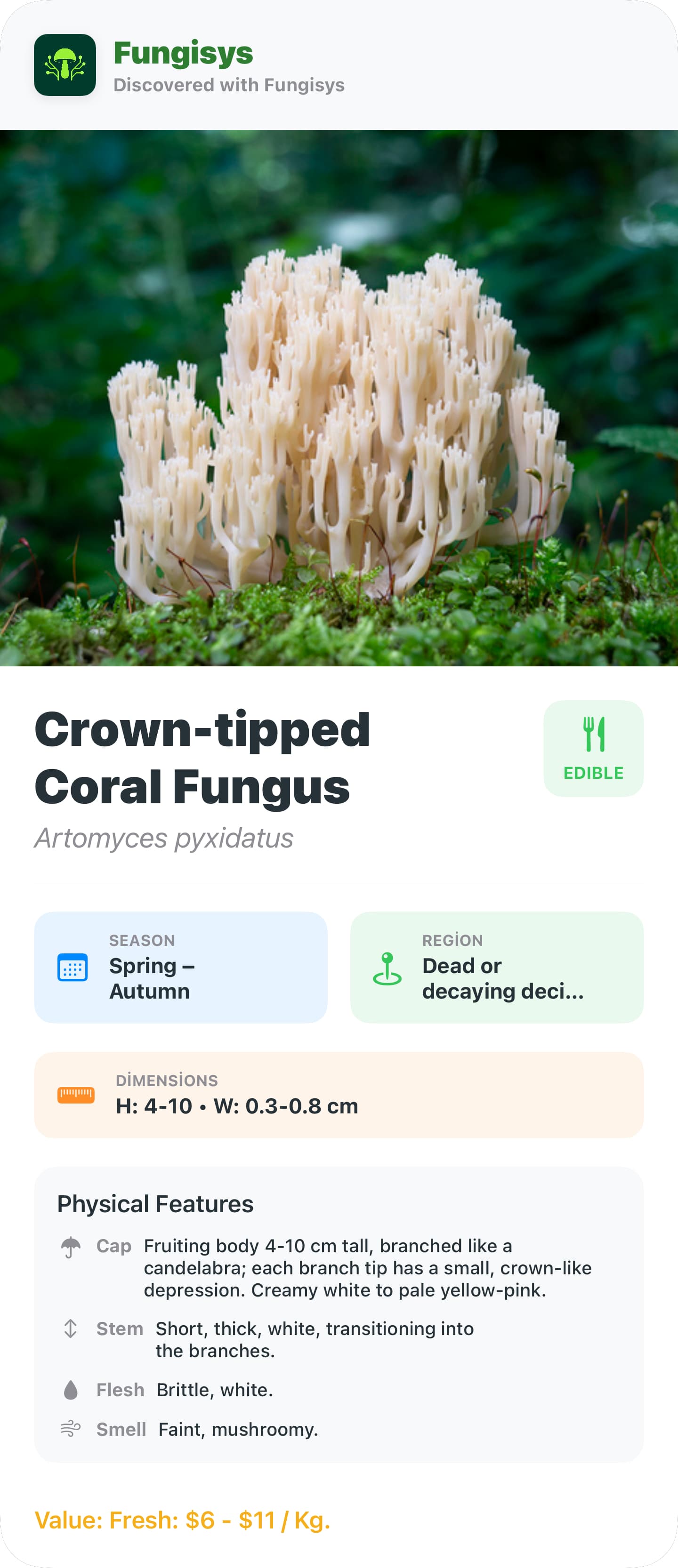 Mushroom Detail Sharing